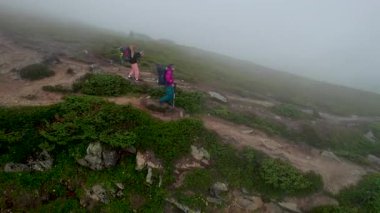 İki yürüyüşçünün hava manzarası sisli dağ yolunda güçlü bir rüzgarla yürüyor, parlak teçhizatları sisli, yeşil manzarayla çelişiyor. Kayalık arazi ve yemyeşil bitki örtüsü dingin bir atmosfer yaratır.