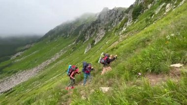 Üç dağcı dik, çimenli dağ yamacına tırmanır. Tırmanmaya yardım eden sırıklar. Engebeli kayalıklar ve yemyeşil yamaçlar göz kamaştırıcı bir zemin oluşturuyor..