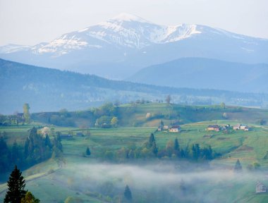 Kırsal kesimde puslu bir sabah. Bereketli yeşil tepeler evlerle, ağaçlarla, sis tabakalarıyla benekli. Arka planda, yumuşak pastel gökyüzünün altında karla kaplı dağlar görkemli bir şekilde yükselir. Hoverla, Ukrayna.