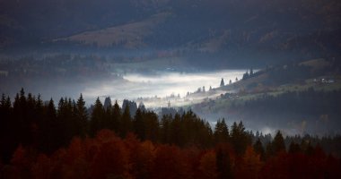 Şafakta vadi, ön planda sık ormanlar sis kaplı çayırlara dönüşüyor. Sabahın erken saatlerinin yumuşak ışığı sonbahar yapraklarını vurgular ve sakin bir atmosfer yaratır. Odaklanmamış manzara.