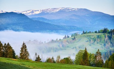 Ağaçlarla benekli ve sisle çevrili yeşil tepeli yemyeşil bir vadi. Arka planda karla kaplı dağlar, dingin ve nefes kesici bir manzara yaratıyor..