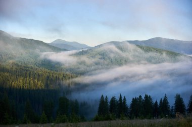 Dağ vadisinde puslu bir sabah. Sis katmanları yemyeşil ormanlarda sürükleniyor, dingin ve mistik bir atmosfer yaratıyor. Uzak tepeler ve tepeler berrak mavi gökyüzünün altında görkemli bir şekilde yükselir..