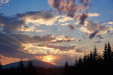 Güneş uzak dağların ardında batar, bulutların arasından altın ışınlar saçar. Sakin bir akşamda mavi, pembe ve altın tonlarıyla boyanmış gökyüzü. Siluetli çam ağaçları manzaraya derinlik katar.