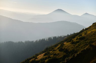 Dağlarda puslu bir sabah, orman tepeleri uzaklığa doğru kayboluyor. Yükselen güneş, yemyeşil yamaçlara altın ışık saçıyor. Huzurlu ve huzurlu bir manzara yaratıyor..