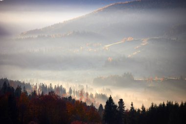 Dağ vadisinde puslu bir sonbahar sabahı. Tepelerin katmanları yumuşak ışıkla yıkandı, sisi kıran güneş ışığı parçalarıyla, sonbahar yapraklarını aydınlattı. Işık ve gölgenin etkileşimi.