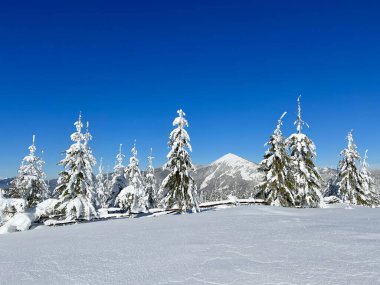 Berrak mavi gökyüzünün altındaki uzak dağların zeminine karşı dik duran karla kaplı ağaçlarla nefes kesen kış manzarası. Dokunulmamış kar gün ışığında parlar, dingin ve el değmemiş bir manzara yaratır..