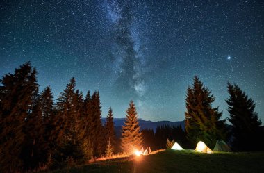 Panoramic view of grassy hill with illuminated camp tents and coniferous trees under starry sky. Night camping in mountains under beautiful sky with stars. Concept of hiking, nighttime and galaxy.