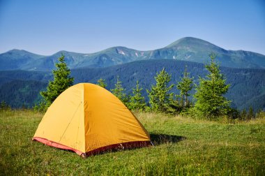 Çimenli yamaçta parlak sarı çadır, mavi karınlı dağların nefes kesici manzarası. Açık mavi gökyüzünün altında genç çam ağaçları huzur ve resim gibi kamp noktaları oluşturuyor..