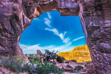 Renkli Çam Ağacı Kemeri Akşam Bahçesi Şeytanları Ulusal Park Moab Utah ABD Güneybatı