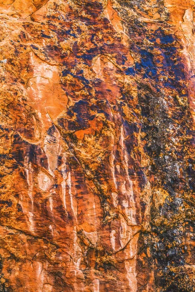 茶色黄色オレンジ色キャニオン抽象悪魔石庭アーチ国立公園モアブ ユタ米国南西 赤い渓谷壁地衣類を多く作成する要約をクローズ アップ — ストック写真