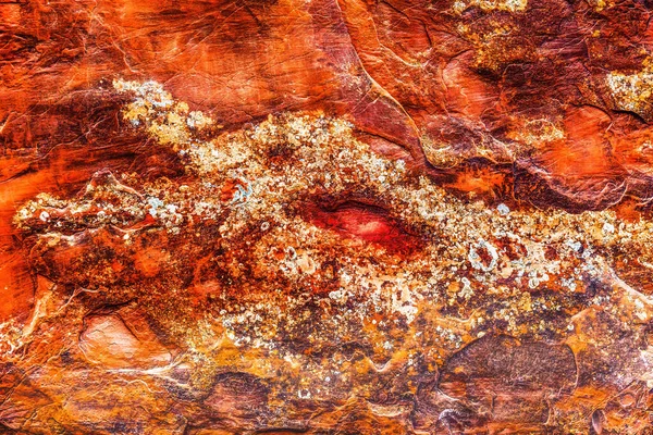 カラフルなロックキャニオンの概要悪魔の庭アーチ国立公園モアブユタ州南西部 赤い峡谷の壁の上の地衣類はドラゴンヘッド抽象を作成します — ストック写真
