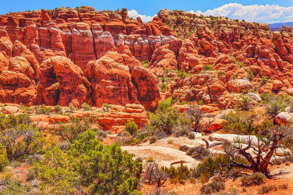 Bunte Rote Feuerofen Orange Hoodoos Rock Canyon Arches Nationalpark Moab — Stockfoto