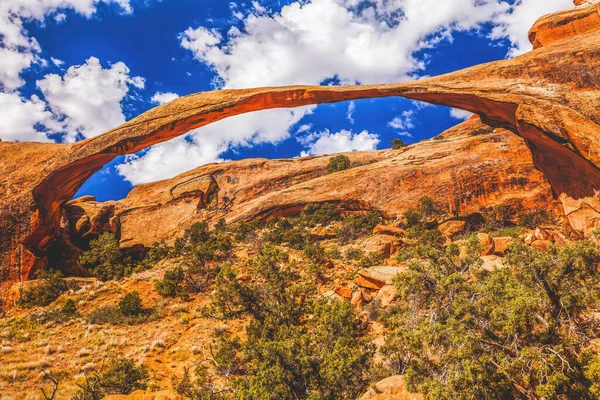 Colorful Landscape Arch Blue Skies Rock Canyon Devils Garden Arches — Stock Photo, Image