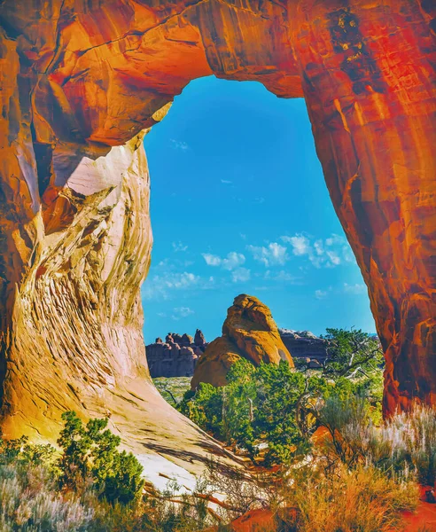 Colorful Pine Tree Arch Devils Garden Arches National Park Moab — Stock Photo, Image