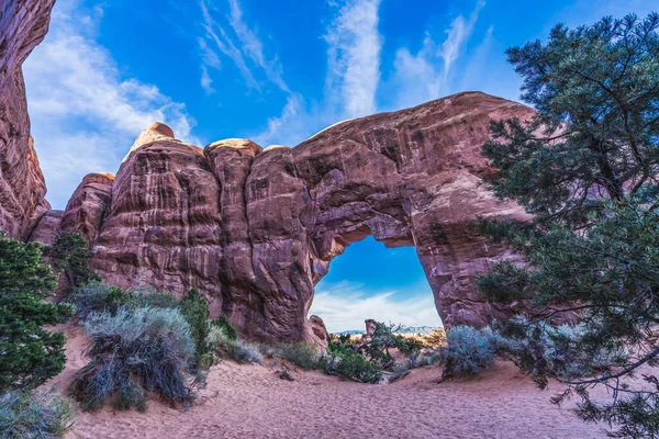 Colorful Pine Tree Arch Evening Devils Garden Arches National Park — Stock Photo, Image