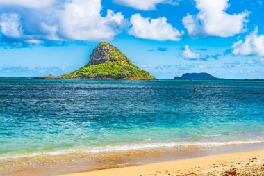 Renkli Çinli Şapkalı Mokolil Adası Kaneohe Körfezi Kualoa Bölgesel Parkı Kuzey Kıyısı Oahu Hawaii