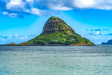 Renkli Çinlinin Şapkası Mokolil Adası Kaneohe Körfezi Bölgesel Parkı Kuzey Kıyısı Oahu Hawaii