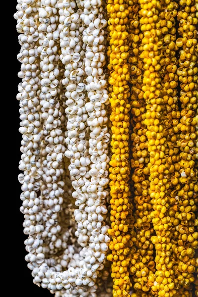 Colorido Blanco Amarillo Mongo Small Shell Leis Hawaiian Necklaces Waikiki — Foto de Stock