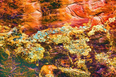 Red rock canyon soyut devils Bahçe arches Ulusal Parkı moab utah usa southwest. liken Kızıl kanyon duvarları üzerinde birçok oluşturmak özetleri yakın çekim.  