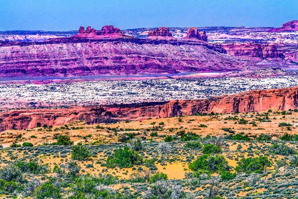 Kleurrijke Gele Gras Landerijen Rode Moab Fout Windows Sectie Arches — Stockfoto