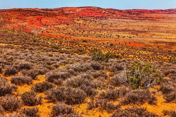 モアブ断層絵画砂漠カラフルな黄色の草の土地オレンジ砂岩レッドヒルズWindowsセクションアーチ国立公園モアブユタ州南西部 — ストック写真
