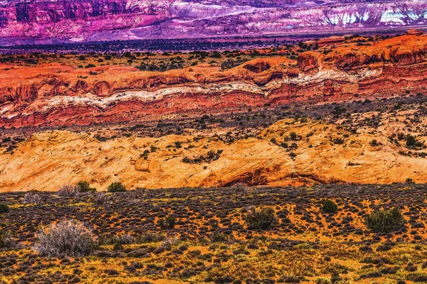 Deserto Pintado Colorido Amarelo Grama Terras Laranja Arenito Vermelho Moab — Fotografia de Stock