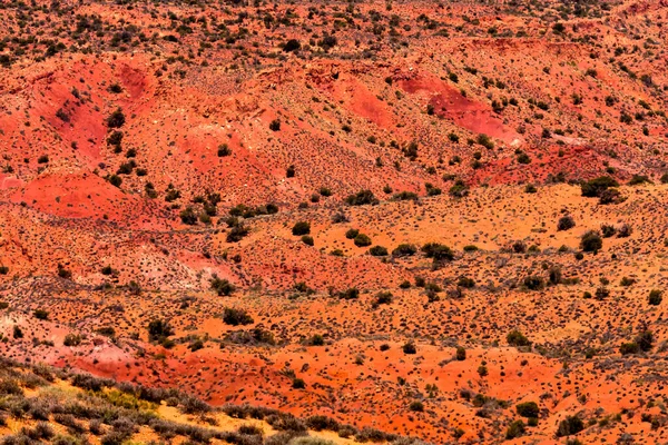 Målad Öken Färgglada Orange Sandstone Arches National Park Moab Utah — Stockfoto