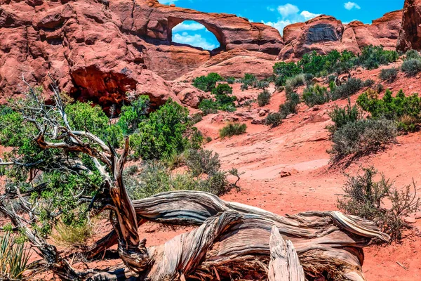 Red Brown Skyline Arch Rock Canyon Arches National Park Moab — Foto Stock