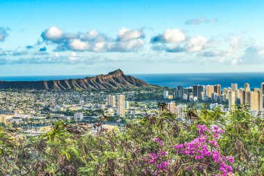 Renkli Tantalus Görünümü Pembe Bougainvillea Elmas Başkanı Waikiki Plaj Otelleri Honolulu Hawaii