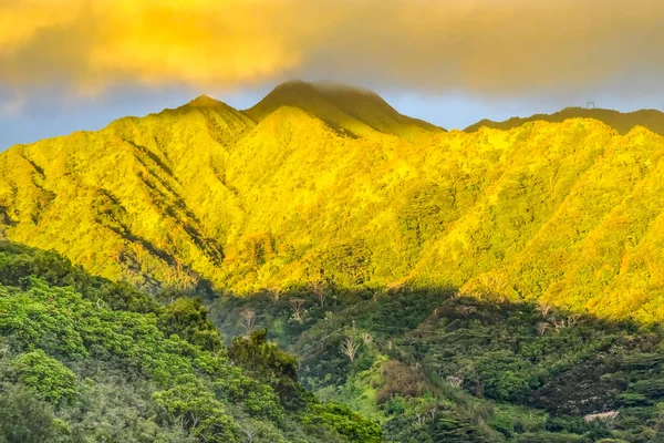 Colorido Atardecer Verde Manoa Valley Tantalus Outlook Honolulu Hawaii — Foto de Stock
