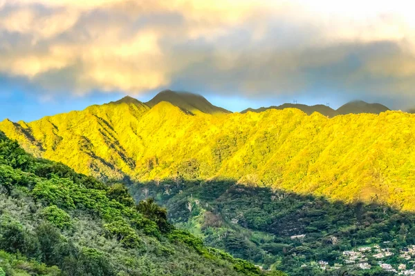 Renkli Yeşil Manoa Vadisi Evleri Tantalus Görünümü Honolulu Hawaii — Stok fotoğraf