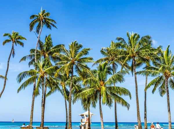 Colorful Lifeguard Station Palm Trees Tourrists Waikiki Beach Honolulu Oahu — стоковое фото
