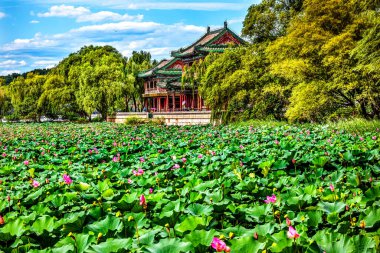 Kırmızı Pavyon Pembe Lotus Yeşil Ped Bahçesi Yaz Sarayı Parkı Pekin Çin