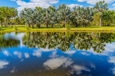 Palm Trees Green Leaves Lake Reflectioin Fairchild Tropical Botanic Garden Coral Gables Florida