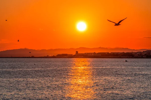 Oglądanie Słońca Beach Refleksja Wybrzeże Morza Śródziemnego Wybrzeże Nicei Wybrzeże — Zdjęcie stockowe