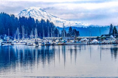 Karlı Dağ Rainier Yelkenlisi Yansıması Gig Harbor Pierce İlçesi Washington Eyaleti Kuzeybatı Pasifik