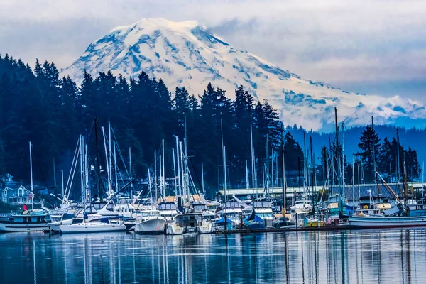 Snowy Mount Rainier Sailboats Reflection Gig Harbor Pierce County Washington — Stock Photo, Image