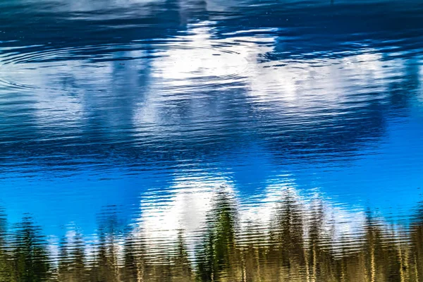 緑の木々白い雲青い空の反射要約ワシントン州太平洋岸北西部 — ストック写真