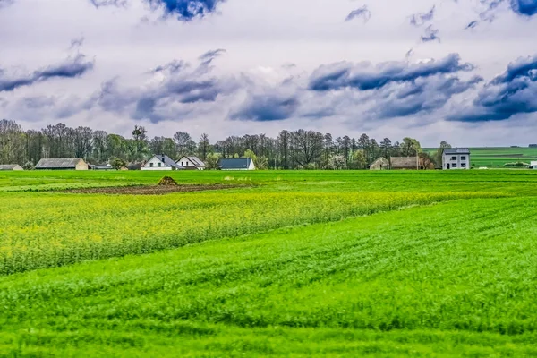 Grüne Weiden Ackerland Gelbe Rapsblüten Bauernhöfe Jasna Gora Polen — Stockfoto