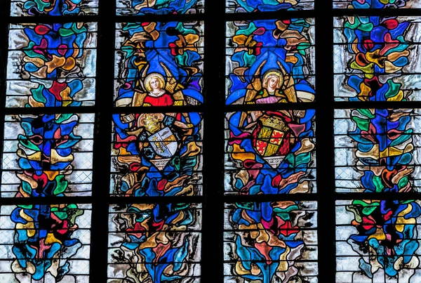 Lyon Francie Ledna 2022 Angels Stainglass John Baptist Cathedral Basilica — Stock fotografie