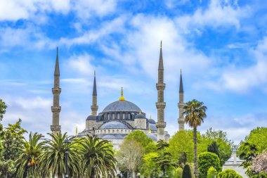 Mavi Cami Yeşil Ağaçları İstanbul Türkiye. Osmanlı Türkleri tarafından 1616 yılında inşa edilen Mavi Cami veya Sultan Ahmed Camii.