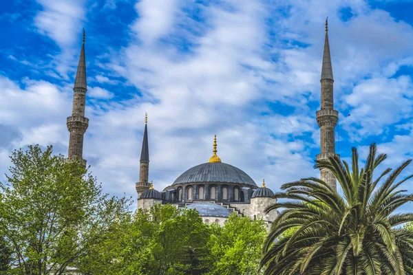 Mosquée Bleue Arbres Verts Istanbul Turquie Mosquée Bleue Mosquée Sultan — Photo
