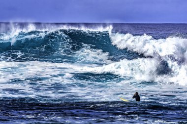 Büyük Dalga Dalgası Waimea Körfezi Kuzey Kıyısı Oahu Hawaii Sörfçüsü. Waimea Körfezi büyük dalga sörfleriyle ünlüdür. O gün, dalgalar 4,5-6 metre yüksekliğindeydi.. 