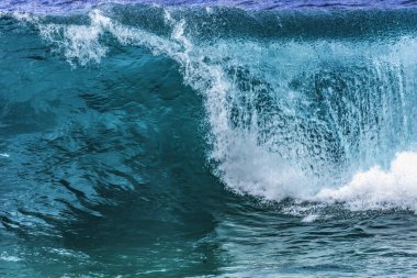 Büyük Dalga Waimea Körfezi Kuzey Kıyısı Oahu Hawaii 'yi izliyor. Waimea Körfezi büyük dalga sörfleriyle ünlüdür. O gün, dalgalar 4,5-6 metre yüksekliğindeydi.. 