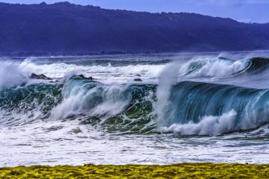 Beach Large Waimea Körfezi Kuzey Kıyısı Oahu Hawaii 'yi seyrediyorum. Waimea Körfezi büyük dalga sörfleriyle ünlüdür. O gün, dalgalar 4,5-6 metre yüksekliğindeydi.. 