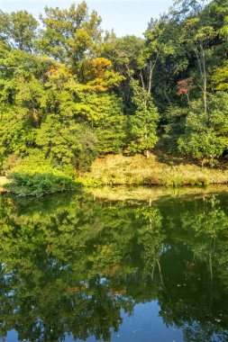 Orange Fall, Yeşil Yansıma Soyut Sonbahar Furuichi Kofungun Gömülü Tepesi Habikino Osaka Eyaleti Japonya 'dan ayrılıyor. Antik Gömü M.S. 500.