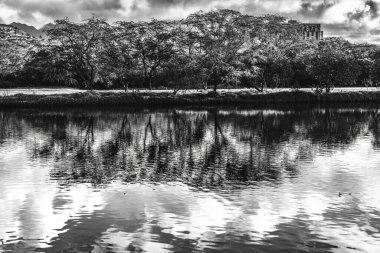 Siyah ve Beyaz Ağaçlar Beyaz Bulutlar Ala Wai Kanal Yansıma Binaları Honolulu Oahu Hawaii