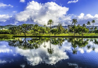 Renkli Yeşil Palmiye Ağaçları Beyaz Bulutlar Mavi Gökyüzü Ala Wai Kanal Yansıma Binaları Waikiki Honolulu Oahu Hawaii