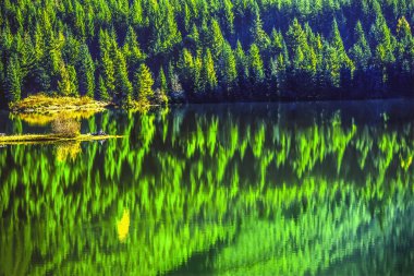 Yürüyüşçüler Yeşil Sonbahar Su Yansıması Soyut Altın Göl Wenatchee Ulusal Orman Snoqualme Geçidi Washington