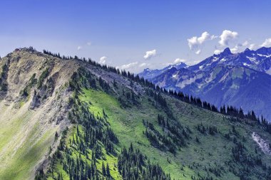 Yeşil Dişler Rainier Dağı Kristal Dağ Gözcüsü Pierce County Washington. Rainier Dağı 4000 feet 'in üzerinde. Kristal Dağ Rainier Dağı 'nın yanında bir kayak merkezi.